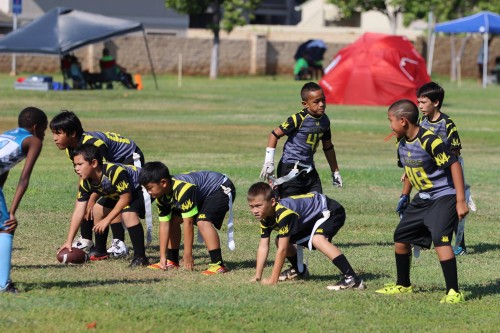 Metro Tigers F1 Fall 2015